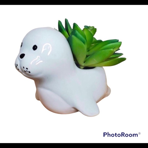 🦭 CERAMIC SEAL FLOWER PLANTER 🦭 - Picture 1 of 5